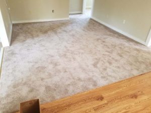 GARSC Carpet Install