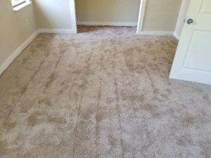 New carpet for home service