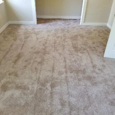 New carpet for home service